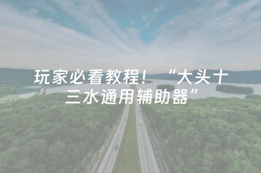 玩家必看教程！“大头十三水通用辅助器”（详细开挂教程）-哔哩哔哩