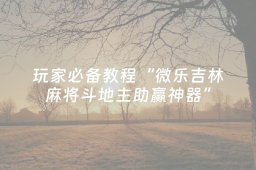 玩家必备教程“微乐吉林麻将斗地主助赢神器”（详细透视教程）-哔哩哔哩