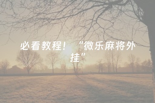必看教程！“微乐麻将外挂”（详细辅助教程）-哔哩哔哩