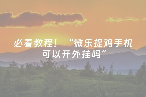 必看教程！“微乐捉鸡手机可以开外挂吗”（详细辅助教程）-哔哩哔哩