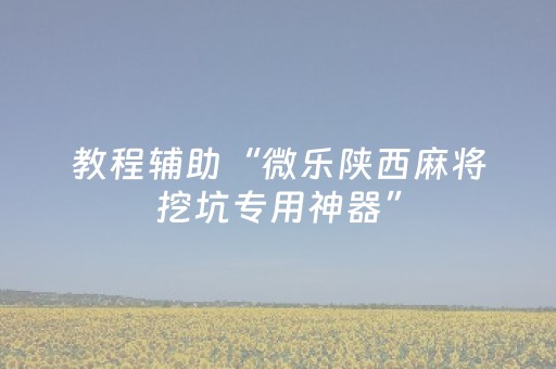 教程辅助“微乐陕西麻将挖坑专用神器”（详细透视教程）-哔哩哔哩
