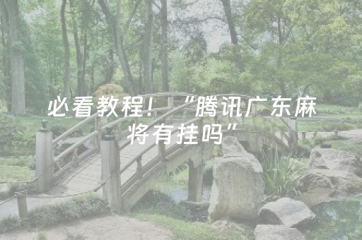 必看教程！“腾讯广东麻将有挂吗”（详细辅助教程）-哔哩哔哩