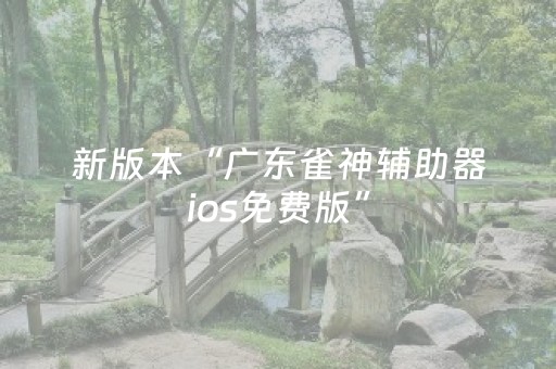 新版本“广东雀神辅助器ios免费版”（详细透视教程）-哔哩哔哩