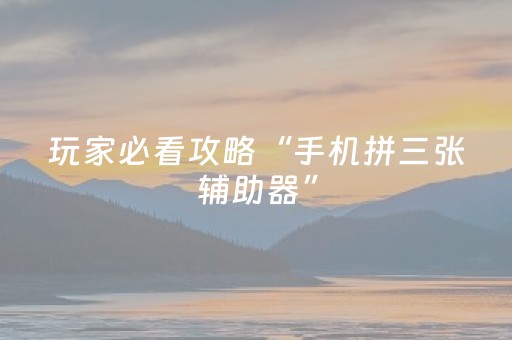 玩家必看攻略“手机拼三张辅助器”（详细透视教程）-哔哩哔哩