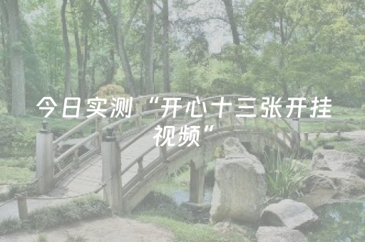 今日实测“开心十三张开挂视频”（详细透视教程）-哔哩哔哩