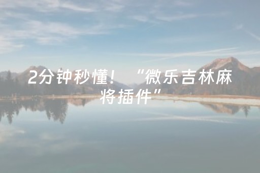 2分钟秒懂！“微乐吉林麻将插件”（详细透视教程）-哔哩哔哩