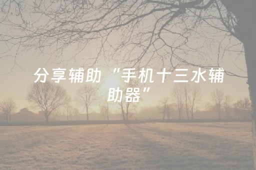 分享辅助“手机十三水辅助器”（详细透视教程）-哔哩哔哩