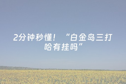 2分钟秒懂！“白金岛三打哈有挂吗”（详细开挂教程）-哔哩哔哩