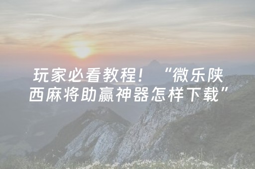 玩家必看教程！“微乐陕西麻将助赢神器怎样下载”（详细透视教程）-哔哩哔哩