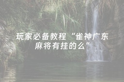 玩家必备教程“雀神广东麻将有挂的么”（详细透视教程）-哔哩哔哩