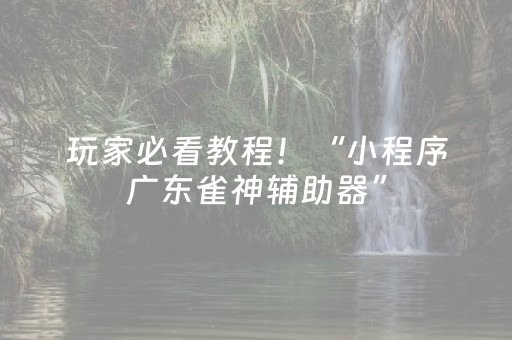 玩家必看教程！“小程序广东雀神辅助器”（详细透视教程）-哔哩哔哩