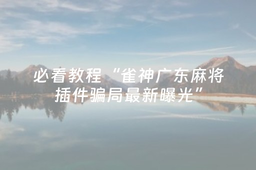 必看教程“雀神广东麻将插件骗局最新曝光”（详细透视教程）-哔哩哔哩