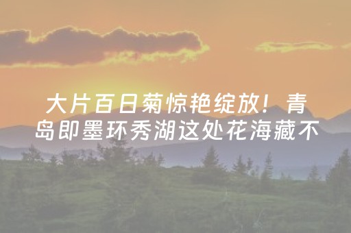 给大家科普一下“手机微信小程序麻将做弊器软件”（发牌有什么规律吗)