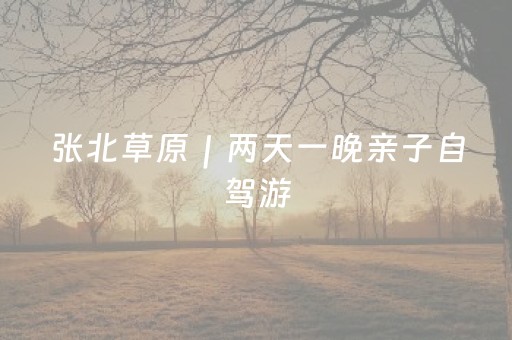 终于懂了“财神十三张辅助器”（万能开挂器)