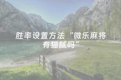 胜率设置方法“微乐麻将有猫腻吗”（详细透视教程）-哔哩哔哩