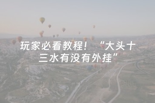 玩家必看教程！“大头十三水有没有外挂”（详细透视教程）-哔哩哔哩