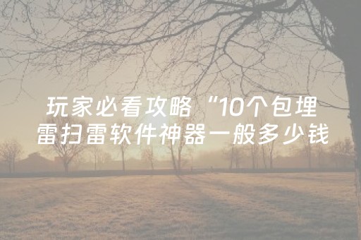 玩家必看攻略“10个包埋雷扫雷软件神器一般多少钱”（详细透视教程）-哔哩哔哩