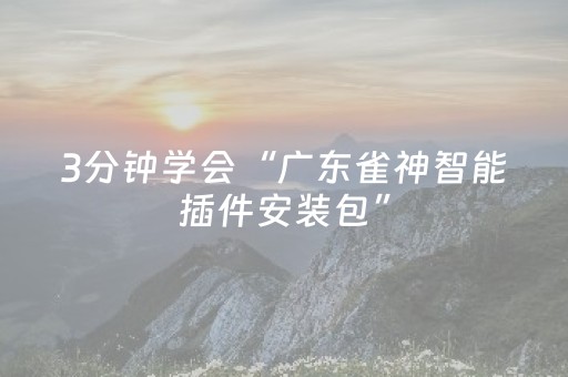 3分钟学会“广东雀神智能插件安装包”（详细透视教程）-哔哩哔哩