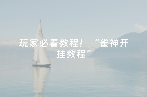 玩家必看教程！“雀神开挂教程”（详细开挂教程）-哔哩哔哩