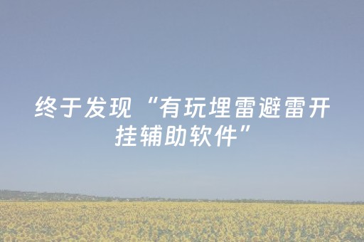 终于发现“有玩埋雷避雷开挂辅助软件”（详细透视教程）-哔哩哔哩