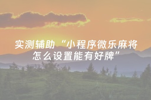 实测辅助“小程序微乐麻将怎么设置能有好牌”（详细透视教程）-哔哩哔哩