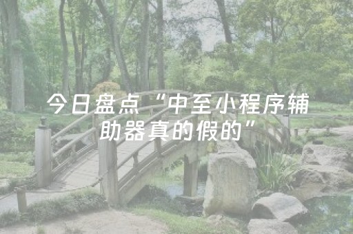 今日盘点“中至小程序辅助器真的假的”（详细辅助教程）-哔哩哔哩