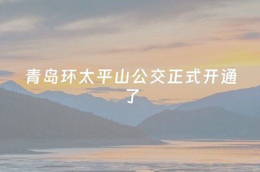 必看盘点揭秘“广东麻将做弊器”（软件出售)