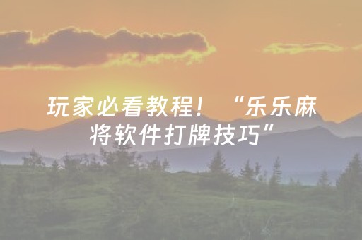 玩家必看教程！“乐乐麻将软件打牌技巧”（详细透视教程）-哔哩哔哩