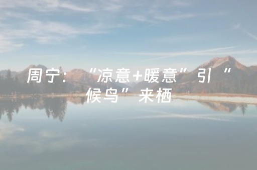 必备攻略“微信小程序吉林麻将助赢神器”（助赢神器)