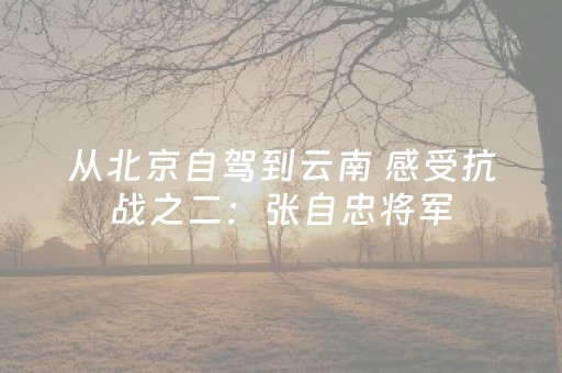 分享玩家攻略“手机麻将助赢神器”（开挂神器下载)