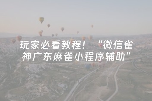 玩家必看教程！“微信雀神广东麻雀小程序辅助”（详细辅助教程）-哔哩哔哩