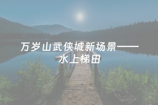 一分钟了解“财神十三张辅助神器”（开挂神器下载)