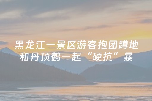 重大通报“微信小程序锄大地记牌器怎么使用”（技巧和打好牌方法)