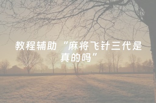 教程辅助“麻将飞针三代是真的吗”（详细透视教程）-哔哩哔哩