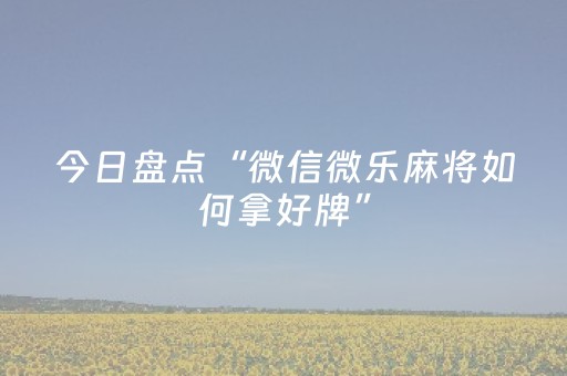 今日盘点“微信微乐麻将如何拿好牌”（详细开挂教程）-哔哩哔哩