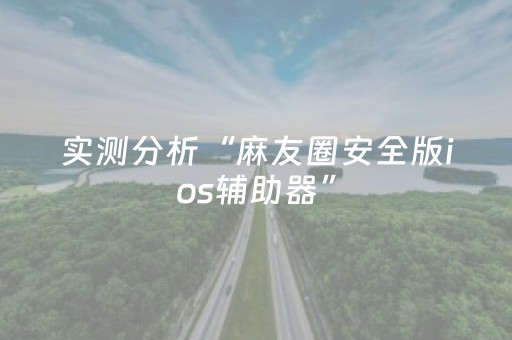 实测分析“麻友圈安全版ios辅助器”（详细辅助教程）-哔哩哔哩