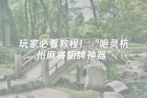 玩家必看教程！“哈灵杭州麻将胡牌神器”（详细辅助教程）-哔哩哔哩