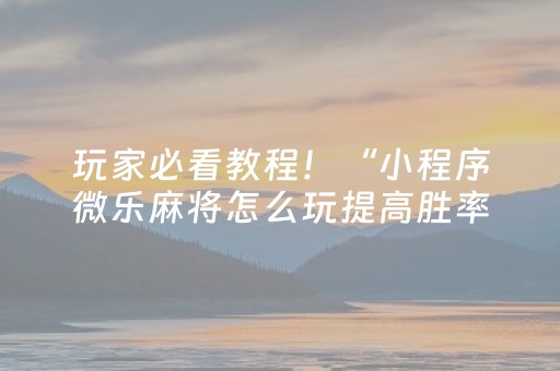 玩家必看教程！“小程序微乐麻将怎么玩提高胜率”（详细开挂教程）-哔哩哔哩