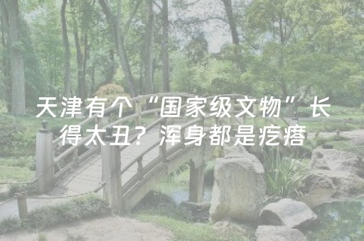 安装程序教程“微信小程序宁夏麻将铺牌器购买”（有没有猫腻)
