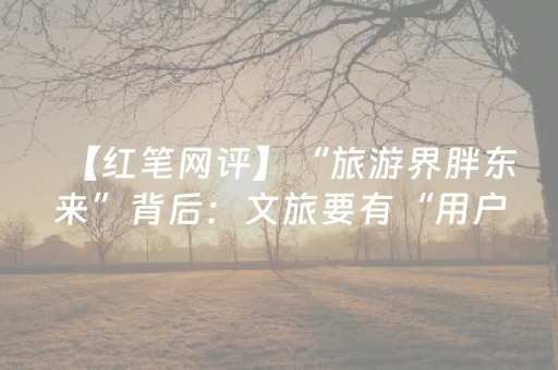 【红笔网评】“旅游界胖东来”背后：文旅要有“用户思维”革命