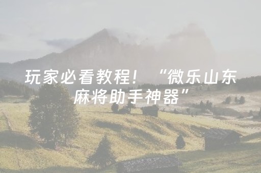 玩家必看教程！“微乐山东麻将助手神器”（详细辅助教程）-哔哩哔哩