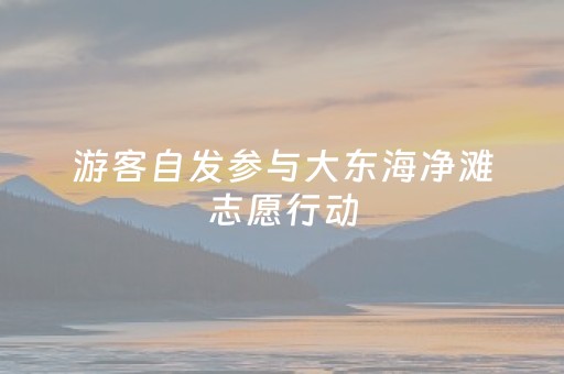 游客自发参与大东海净滩志愿行动