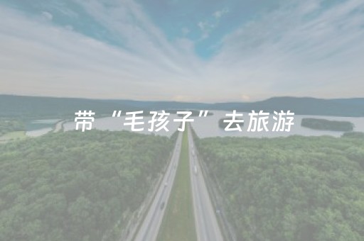 一分钟了解“手机麻将助赢神器”（可以设置输赢吗)