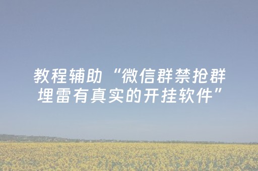 教程辅助“微信群禁抢群埋雷有真实的开挂软件”（详细透视教程）-哔哩哔哩