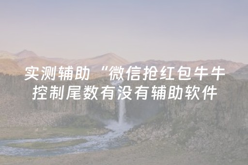 实测辅助“微信抢红包牛牛控制尾数有没有辅助软件助手”（详细透视教程）-哔哩哔哩