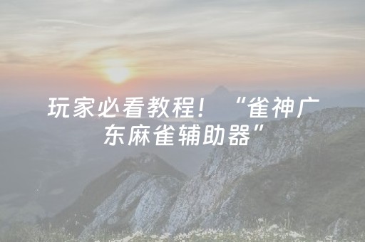 玩家必看教程！“雀神广东麻雀辅助器”（详细开挂教程）-哔哩哔哩
