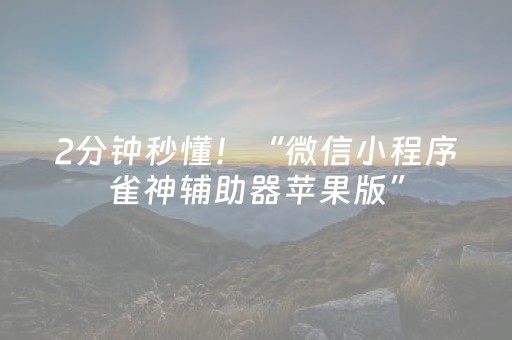 2分钟秒懂！“微信小程序雀神辅助器苹果版”（详细辅助教程）-哔哩哔哩