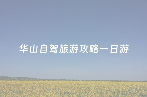 华山自驾旅游攻略一日游（华山自驾旅游攻略一日游）