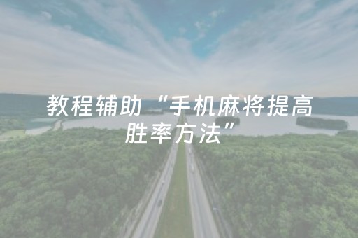 教程辅助“手机麻将提高胜率方法”（详细透视教程）-哔哩哔哩