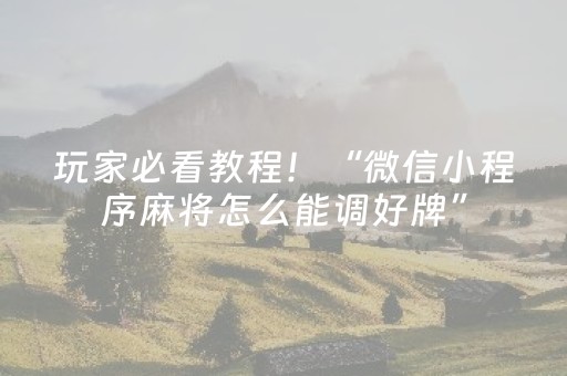 玩家必看教程！“微信小程序麻将怎么能调好牌”（详细透视教程）-哔哩哔哩